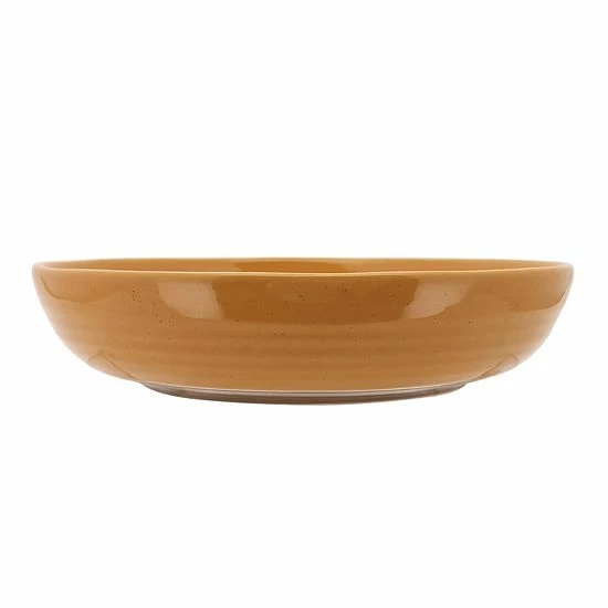 Food Network™ Farmstead Dinner Bowl Blue - Image 6